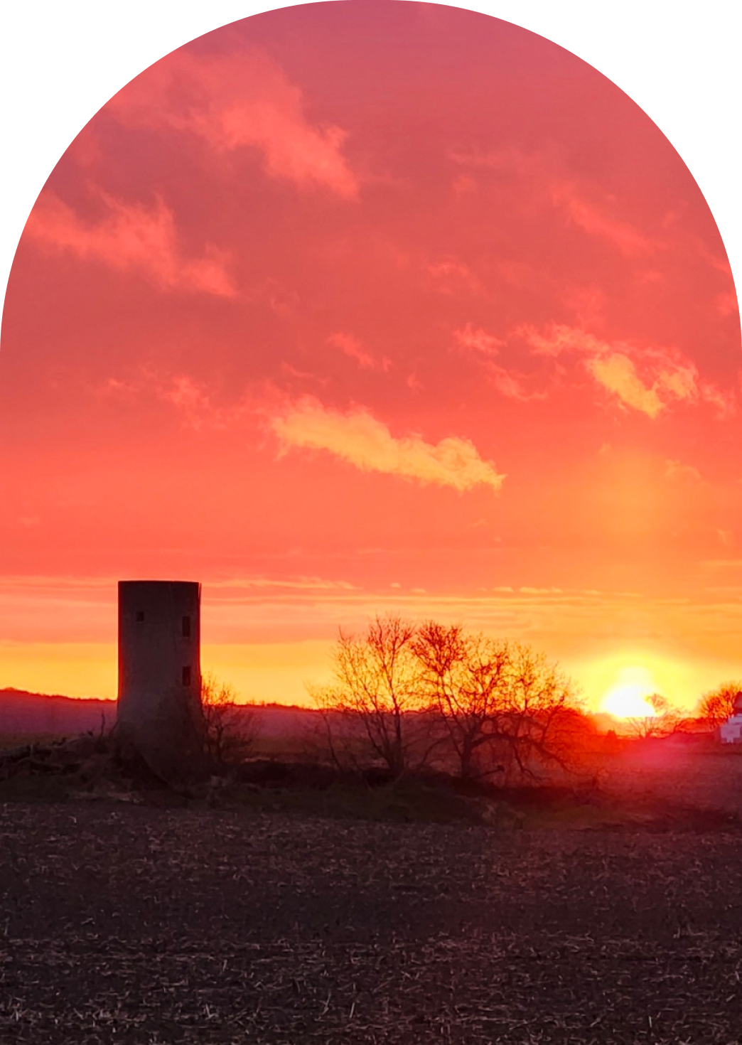 Stone Silo Counselling